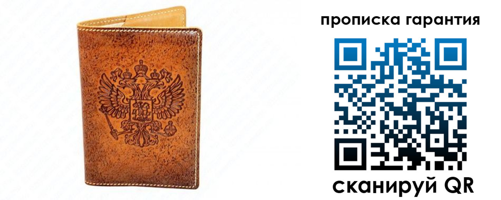 прописка для школы в Коркино